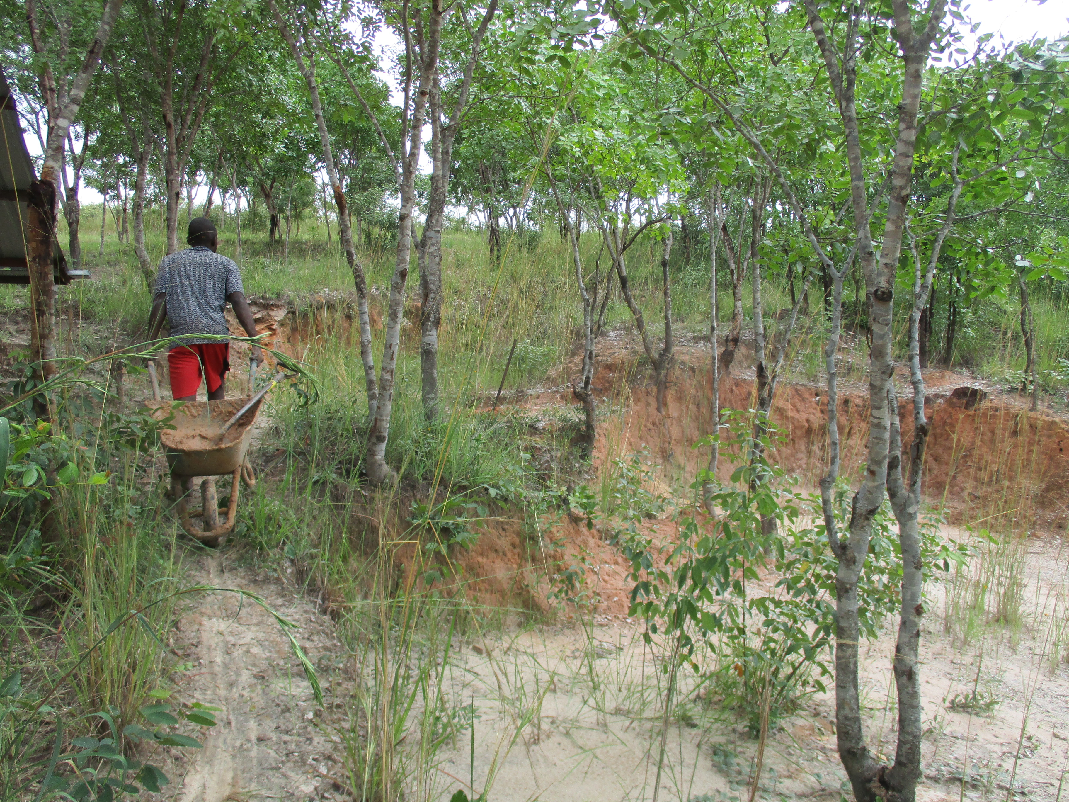 Luca gathering more material from behind the house