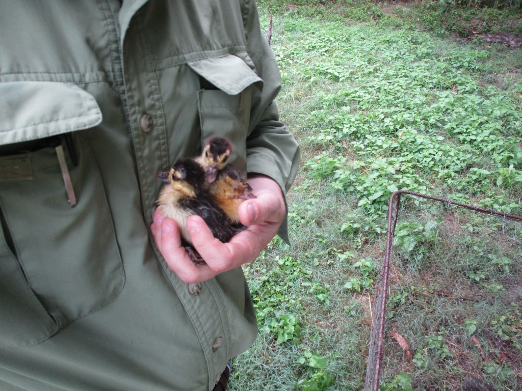 Memoir: First weekend stranded in&nbsp;Angola