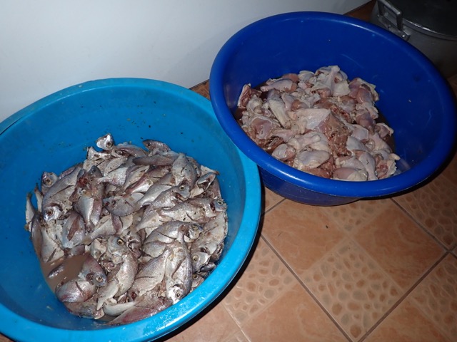 two big tubs of raw fish and chicken
