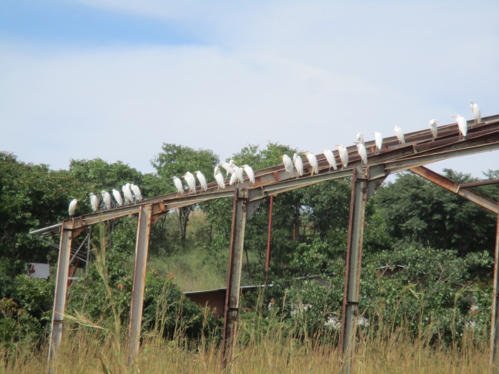 Memoir: Wednesday 18 Mar&nbsp;2020