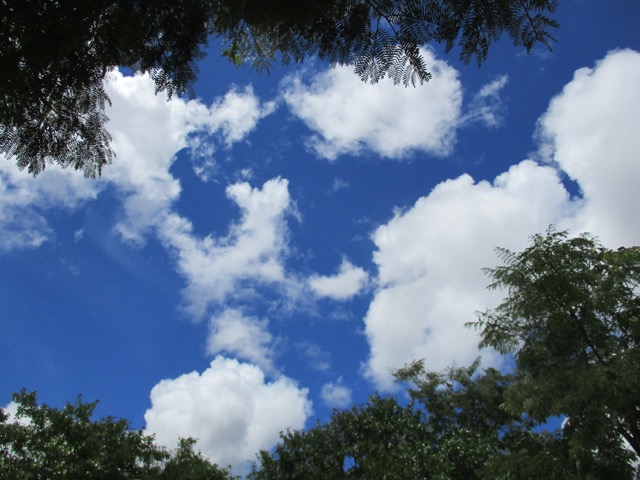 Memoir: 26 and 27 Mar&nbsp;2020