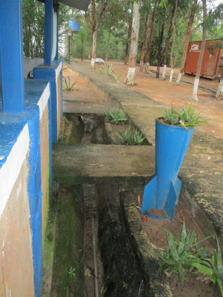 blue bomb find planter in front of a building